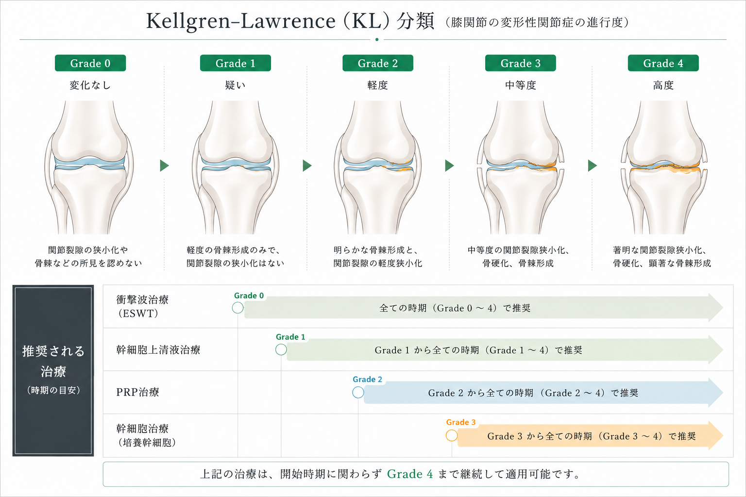 Kellgren-Lawrence分類と治療適用期間